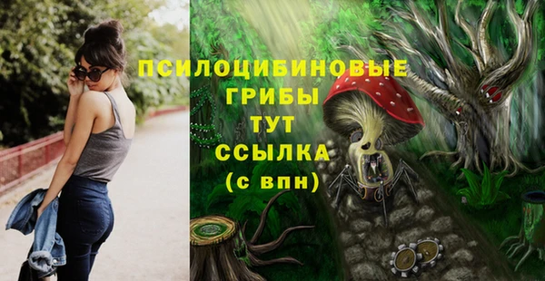 ешки Аркадак