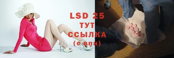 ешки Аркадак