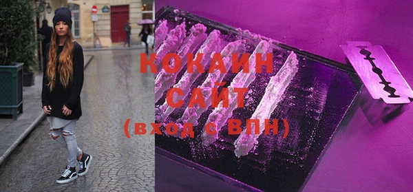 ешки Аркадак