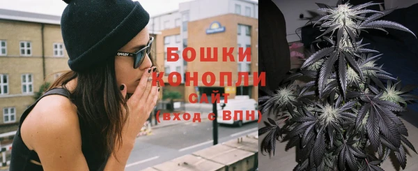 ешки Аркадак