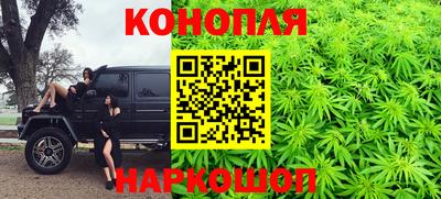 крисы Будённовск