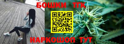 крисы Будённовск