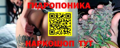стафф Бугуруслан