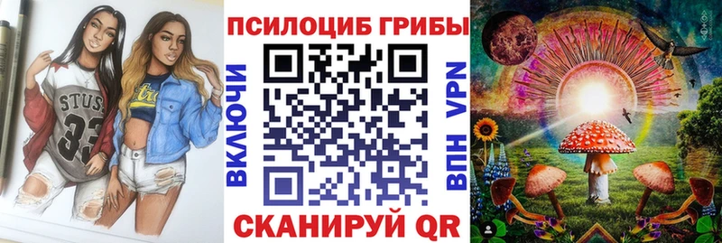 Галлюциногенные грибы Psilocybe  Железноводск 