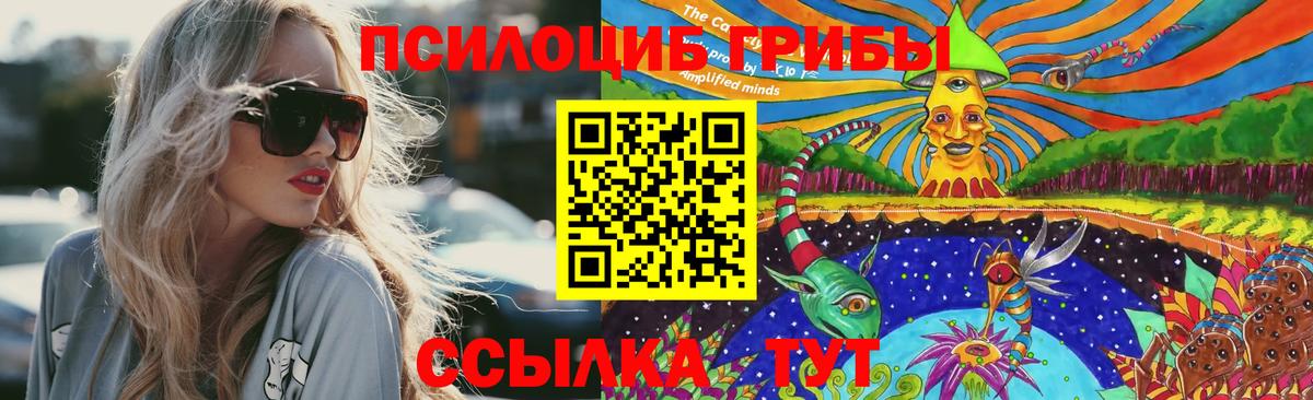 Железноводск  Галлюциногенные грибы мухоморы  Вход с VPN 