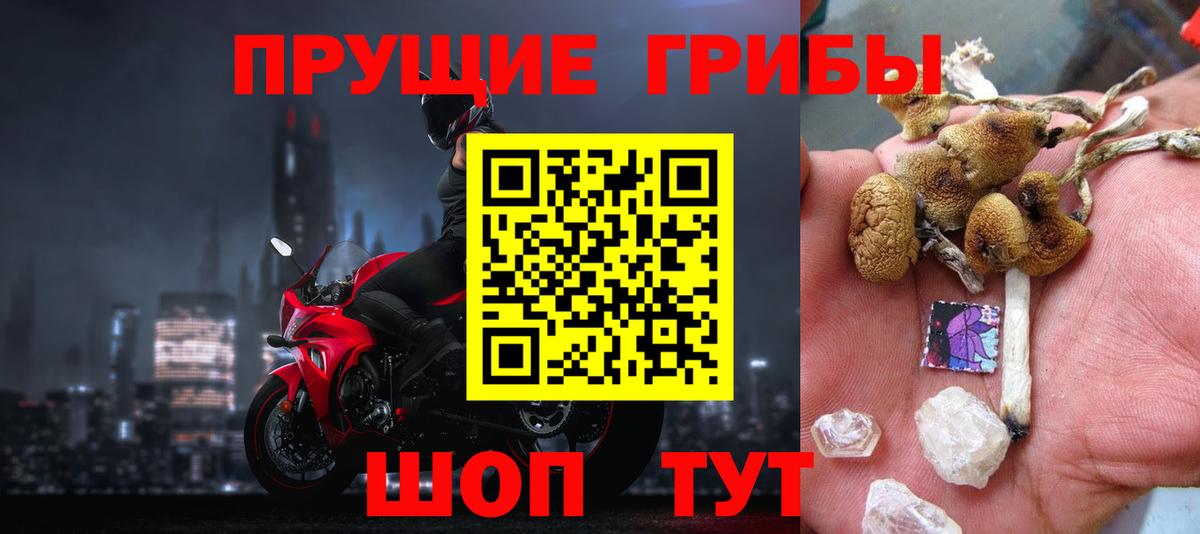 Галлюциногенные грибы Железноводск